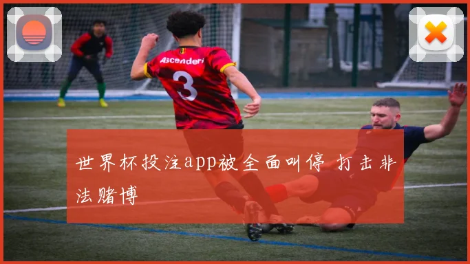 世界杯投注app被全面叫停 打击非法赌博