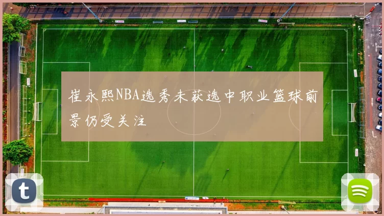 崔永熙NBA选秀未获选中职业篮球前景仍受关注